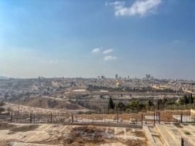 Фото к новости «Наш настоятель на Святой Земле»