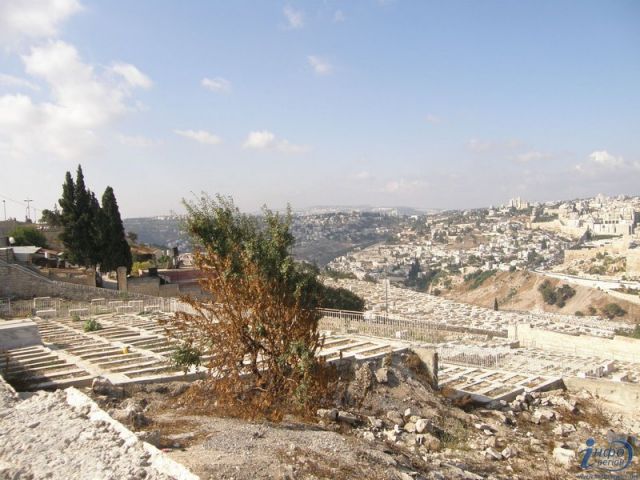 5-2 Панорамы Иерусалима. Святыни_4