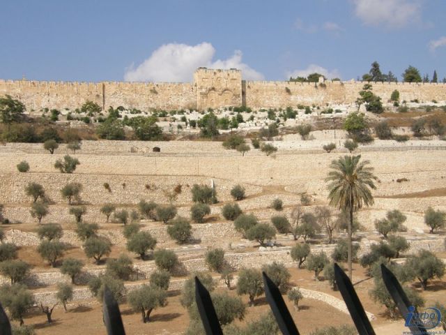 5-2 Панорамы Иерусалима. Святыни_26