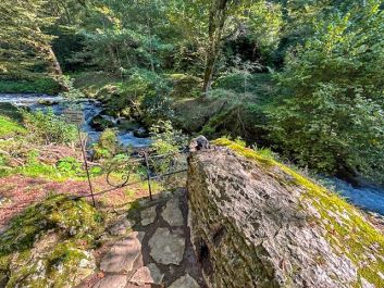 Встреча иконы святого апостола Симона Кананита