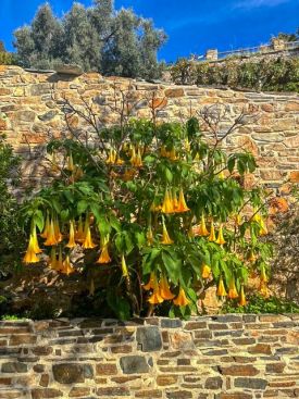 Икона Божией Матери «Распутывающая узлы» на Святой Горе Афон