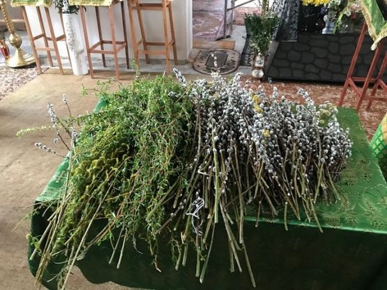 Лазарева суббота